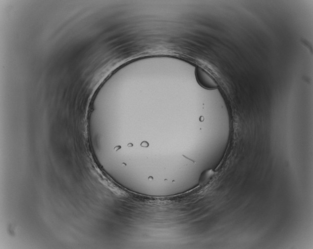 X0000100871236200807111310