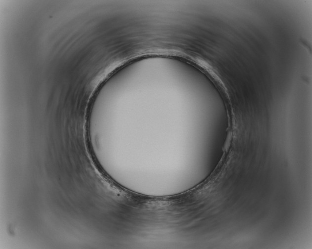 X0000100871237200807111310