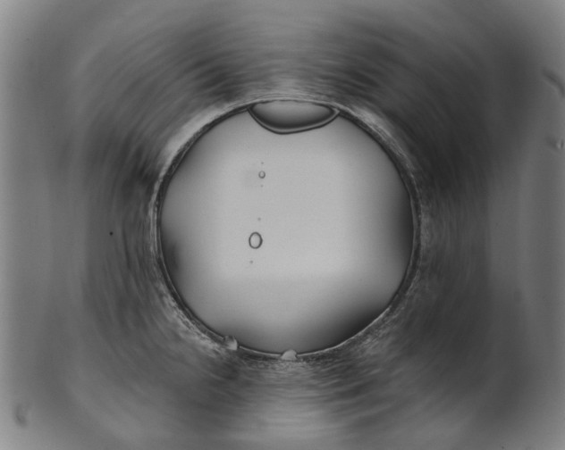 X0000100871238200807111310