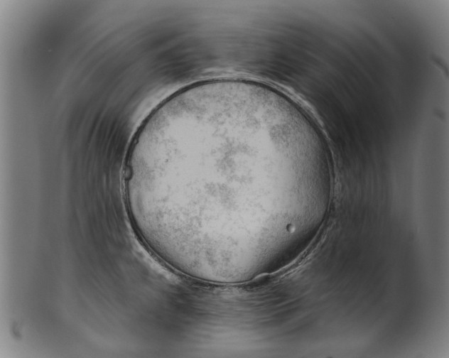 X0000100871239200807111310