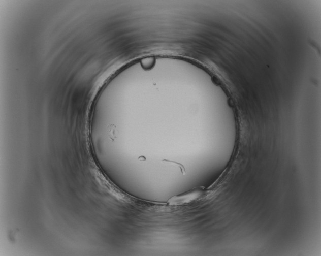 X0000100871240200807111310