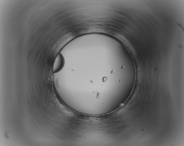 X0000100871241200807111310