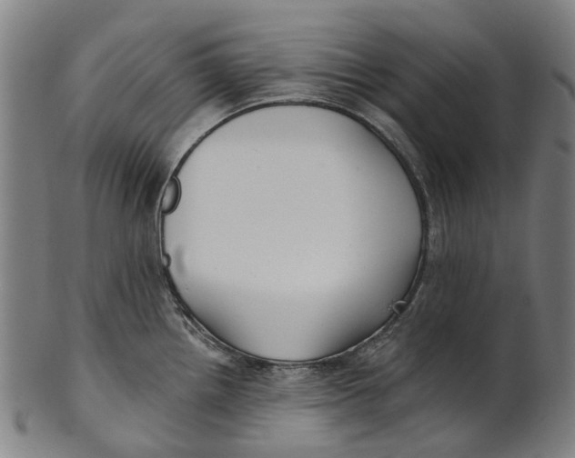 X0000100871242200807111310