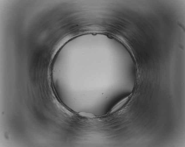 X0000100871243200807111310