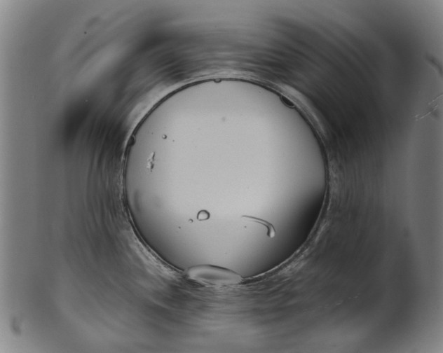 X0000100871244200807111310