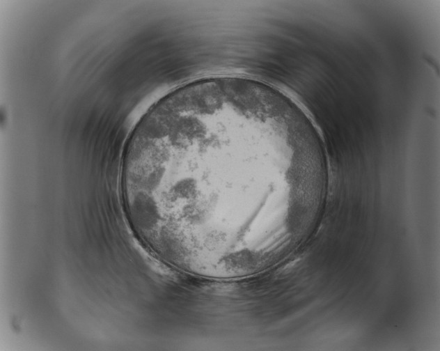 X0000100871245200807111310