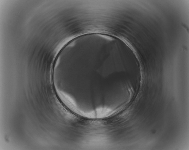 X0000100871246200807111310