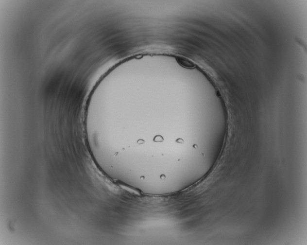 X0000100871248200807111310