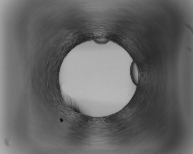 X0000100871249200807111309