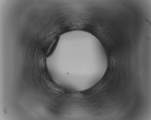 X0000100871250200807111309