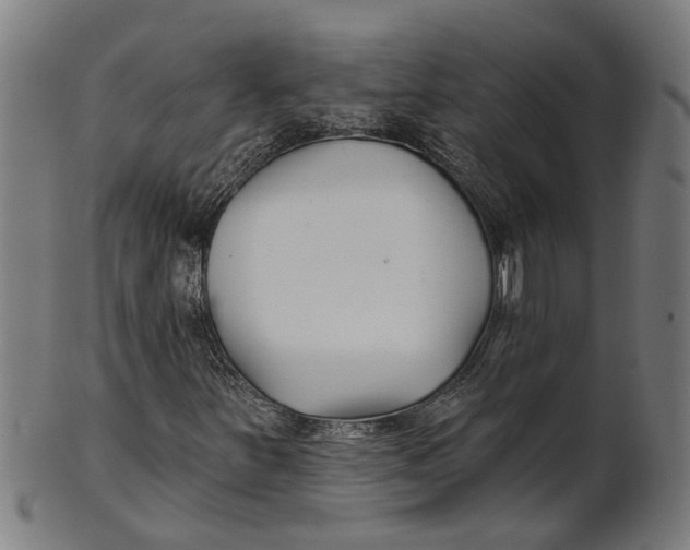 X0000100871251200807111309