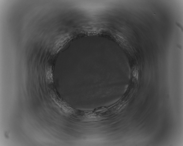 X0000100871252200807111309