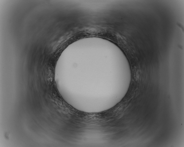 X0000100871253200807111309