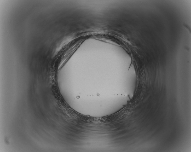 X0000100871255200807111309