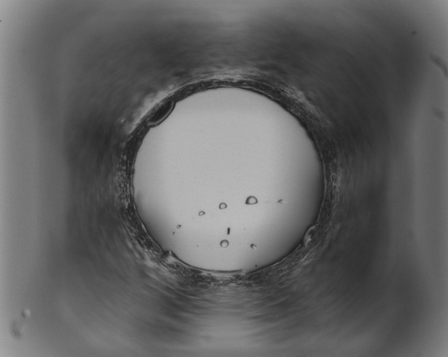 X0000100871256200807111309