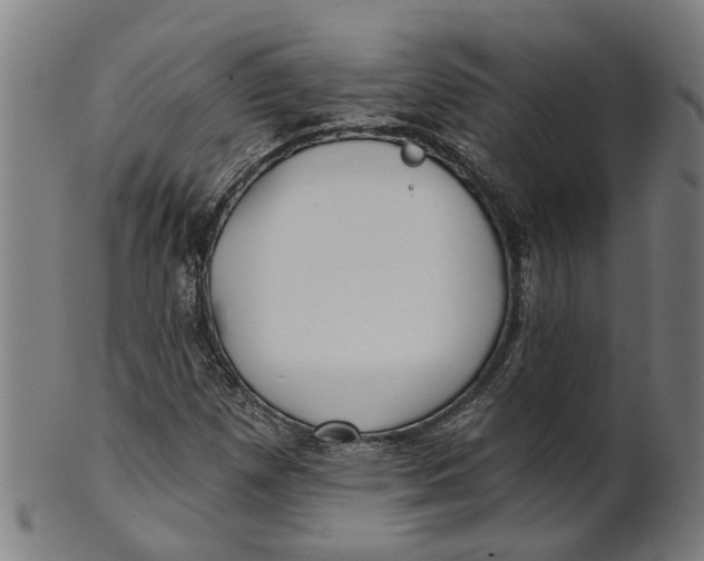 X0000100871257200807111309