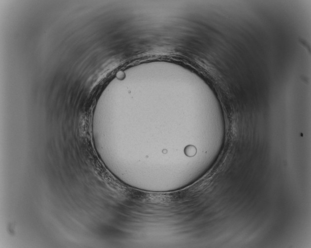 X0000100871258200807111309