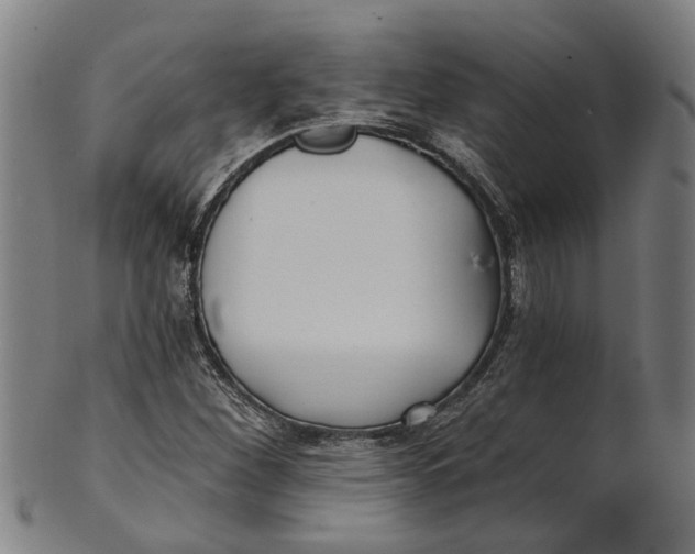 X0000100871260200807111309