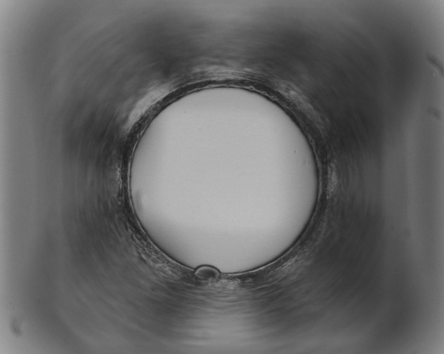 X0000100871261200807111309