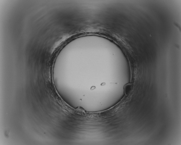 X0000100871262200807111309