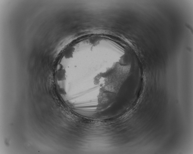 X0000100871263200807111309