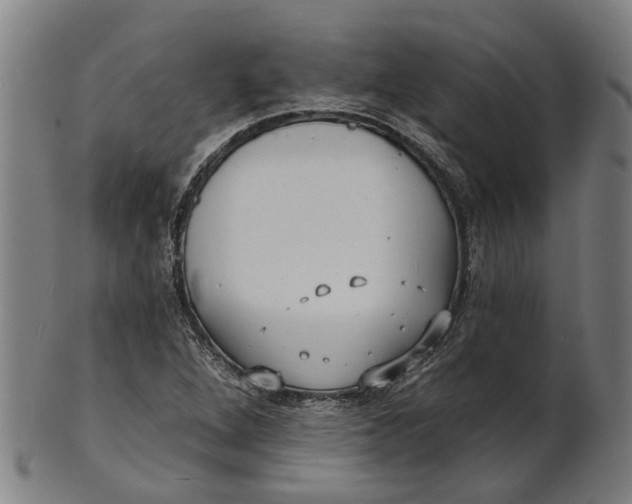 X0000100871264200807111309