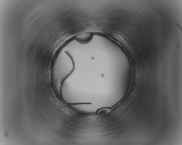 X0000100871268200807111309