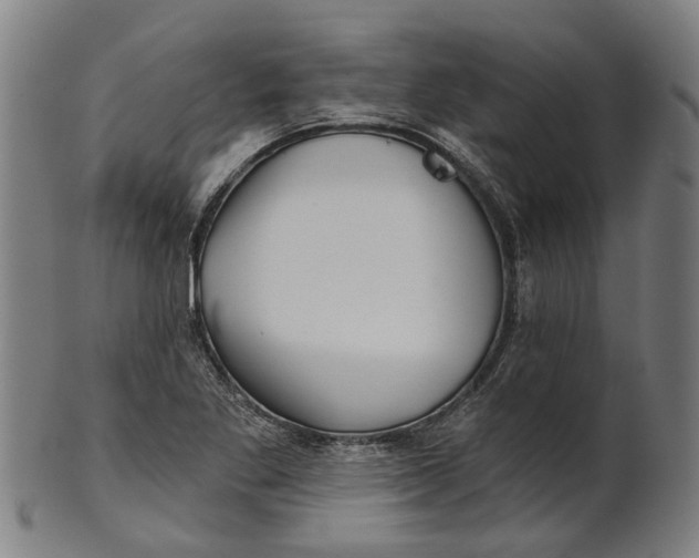 X0000100871269200807111309