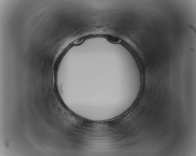 X0000100871270200807111309