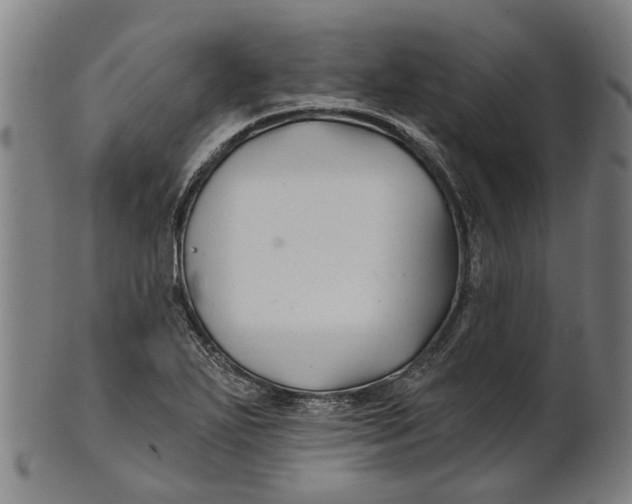 X0000100871271200807111309