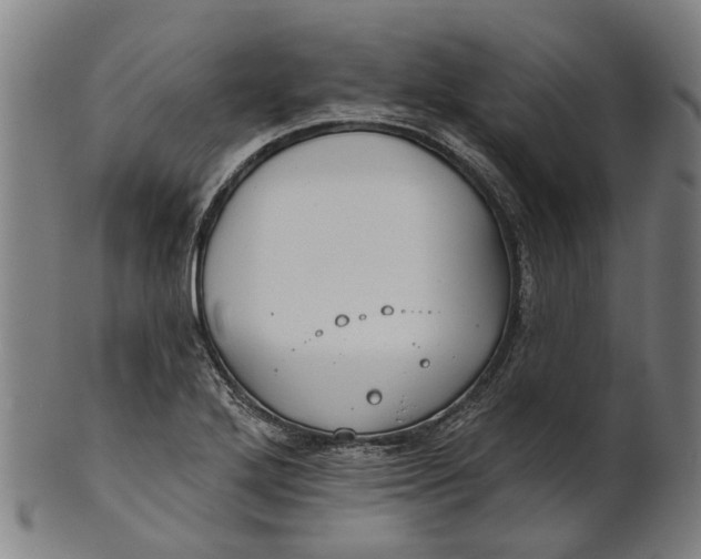 X0000100871272200807111309