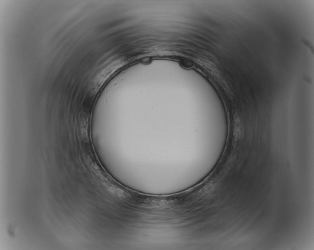 X0000100871273200807111309