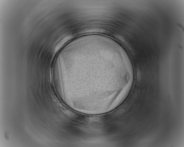 X0000100871274200807111309