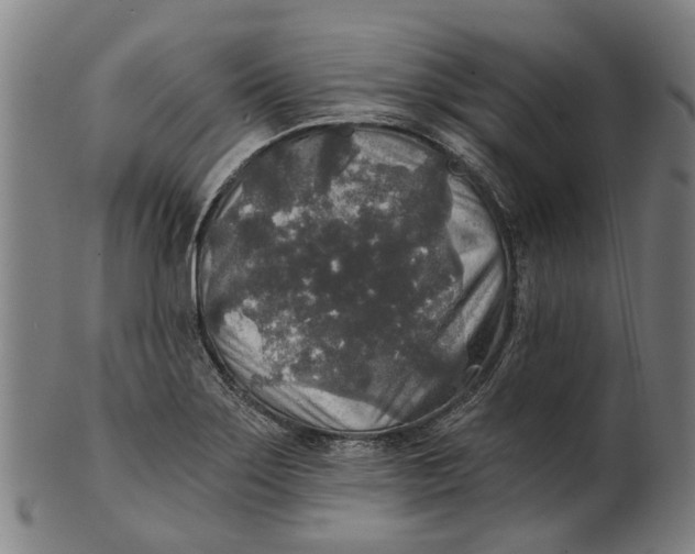 X0000100871275200807111309