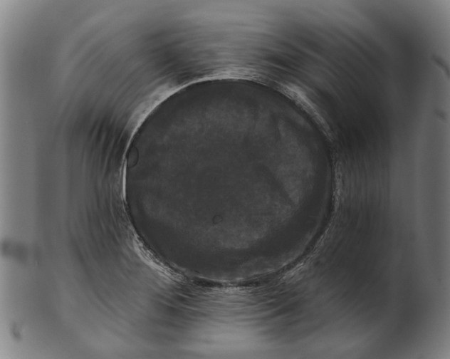 X0000100871276200807111308