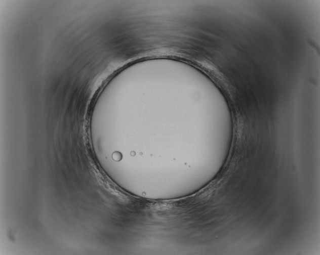 X0000100871278200807111308