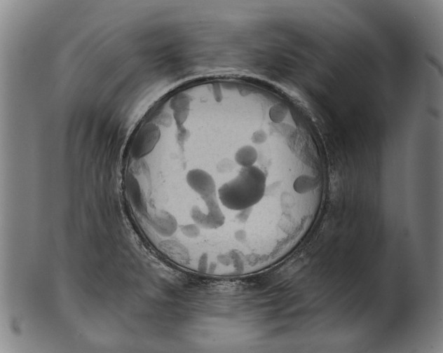 X0000100871279200807111308