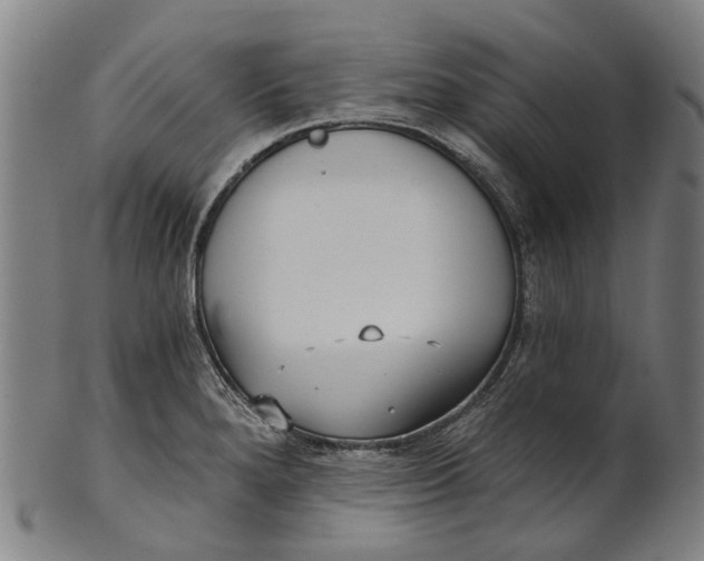 X0000100871280200807111308