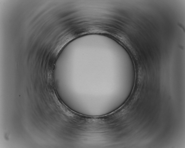 X0000100871281200807111308