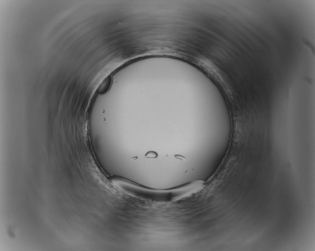 X0000100871284200807111308