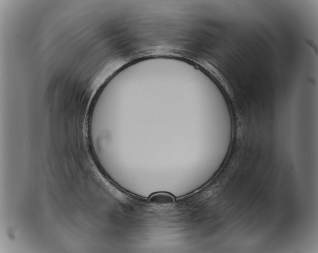 X0000100871285200807111308