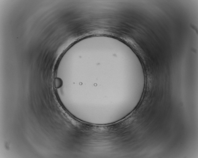 X0000100871286200807111308