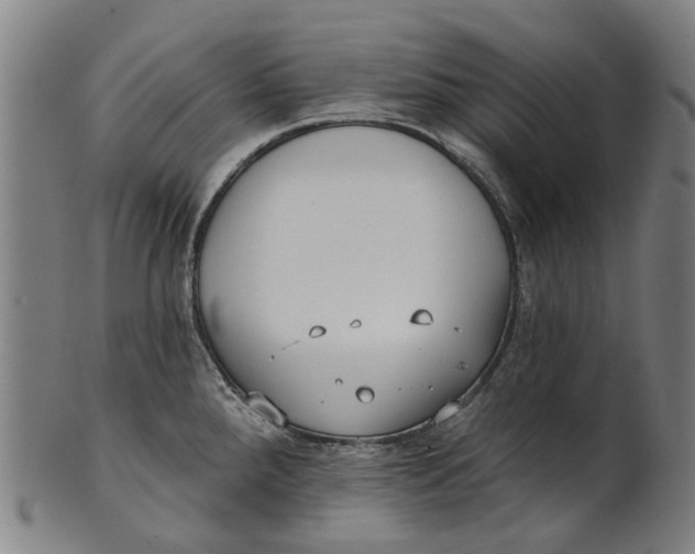 X0000100871288200807111308