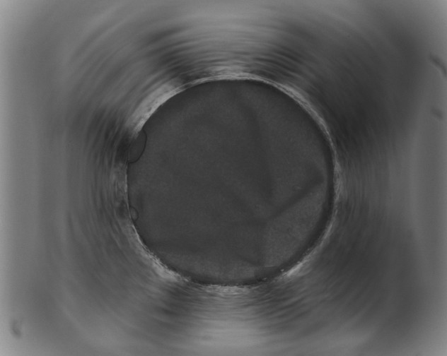 X0000100871289200807111308