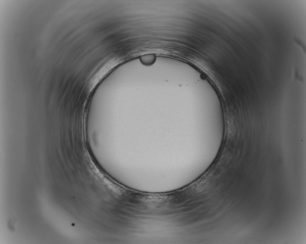 X0000100871290200807111308