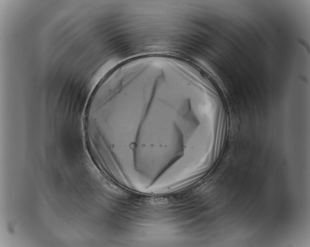 X0000100871291200807111308