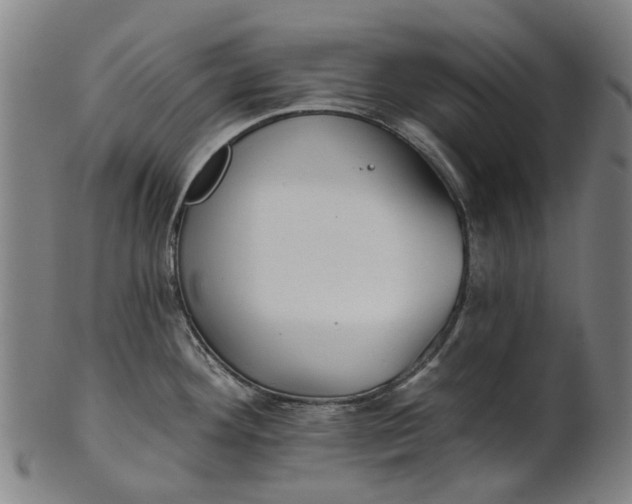 X0000100871292200807111308