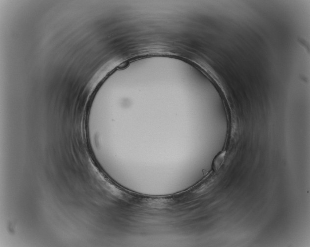 X0000100871293200807111308