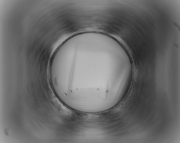 X0000100871294200807111308