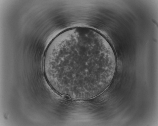 X0000100871295200807111308